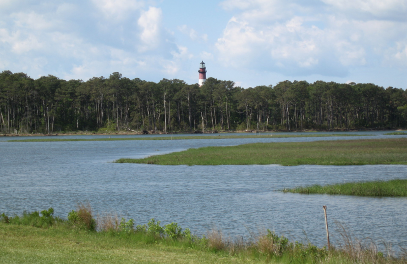 Chincoteague Approves New STR Ordinance: What Hosts Need to Know